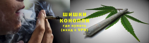 PSILOCYBIN Белоозёрский