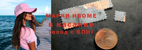 амф Щучье