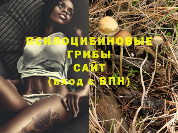 PSILOCYBIN Белоозёрский