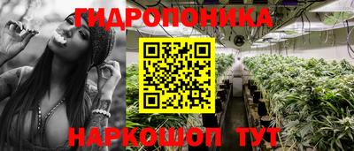 Альфа ПВП Ликино-Дулёво